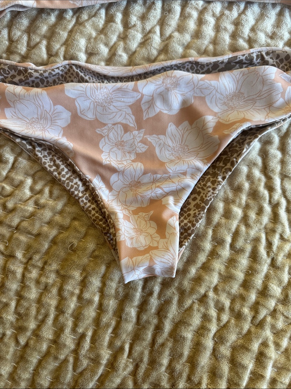 Acacia bikini - Picture 2 of 8